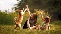 коти