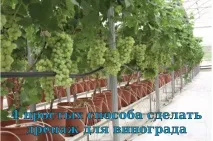 Як зробити дренаж для винограду 4 варіанти системи винограду
