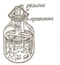 Як солити огірки; огірки малосольні малосольні