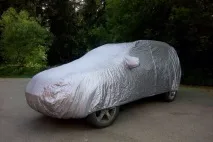 свій