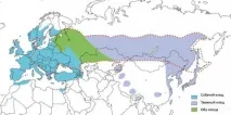 Як виглядає укус кліща на тілі людини, місце укусу - Боротьба з домашніми паразитами від А до Я тілі
