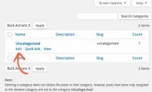 Як у Wordpress перейменувати стандартну рубрику Без категорії, Бізнес блог Макса Метельова рубрику