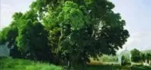 Картини Левітана - чи сам писав свої твори художник писав
