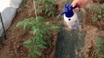 Кальцинована сода застосування, заходи безпеки та відгуки кальцинована