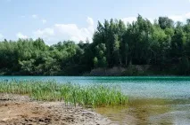Кар’єр Кондукі Кондуки
