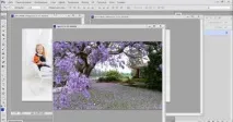 Колаж із фотографій – уроки фотошопу для початківців фотошопу