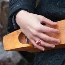 інгерманландії