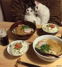 коли