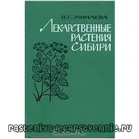 сибіру