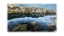 Історія Тамари, Веганська, некомедогенна косметика skyn ICELAND та Purity Herbs косметика