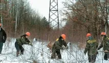 перевірки