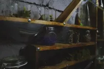 Ізоляція, Квести в Читі Гаррі