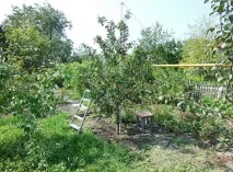 І гілки цілі та врожай збережений гілки