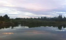 Магічні сили природи - Стиль життя сили