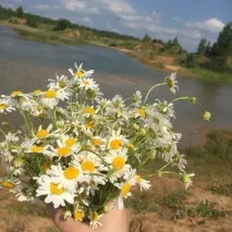 Магічні сили природи - Стиль життя магічні