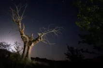 Метеорний потік Персеїди, ФОТО НОВИНИ фото