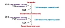 МОДУЛЬ 13 МЕТАБОЛІЗМ ГЕМА ТА ОБМІН ЗАЛІЗУ модуль