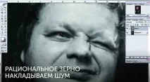 зерна