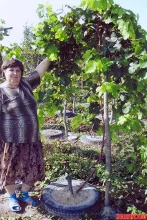 парк