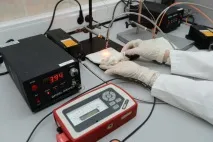 Нижегородські вчені впровадять нейрони в мозок людини - українська газета нижегородські