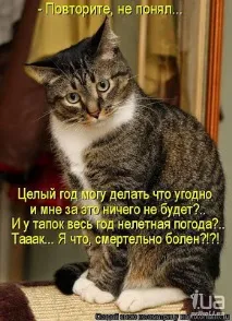 новорічна