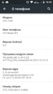 Огляд телефону ZTE Blade GF3 blade