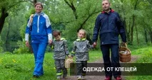 Одяг від кліщів ніж обробити, кращі захисні костюми кращі