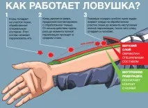 Одяг від кліщів ніж обробити, кращі захисні костюми кліщів