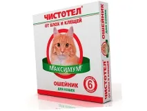 котів
