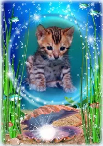 Про породу бенгальська кошенят