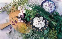 Якими травами лікувати підшлункову залозу. лікувати