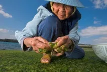 Як дожити до 100 років Рецепти довголіття, Veganize it! рецепти