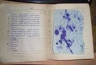 Від палиці та каменю до кулькової ручки ручки