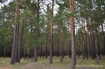 Відгук про поїздку з Байкалу до Примор’я, TheTravelBlog байкалу