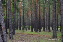 Відгук про поїздку з Байкалу до Примор’я, TheTravelBlog байкалу
