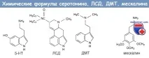 отравяне