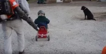 Тато зі США за допомогою повітродувки вчить сина не боятися катання на велосипеді тато
