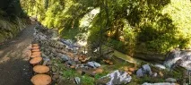 Парк водоспадів «Менделіха», Роза Хутор менделіха