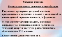 Чому трясе з похмілля що робити трясе