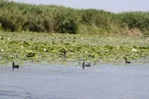 Підводні течії маленької річки - ХЕРСОН течії