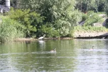 Підводні течії маленької річки - ХЕРСОН течії