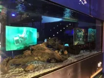Підводний човен «Лембіт» - Льотна гавань льотна