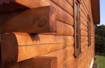 Причини, що спричиняють руйнування дерев’яних конструкцій - зрубів будинків та лазень дерев