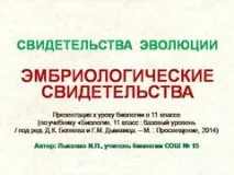 Презентація на тему - Ембріологічні свідчення еволюції - з Біології для 11 класу тему