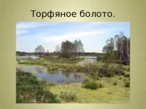 Презентація до уроку біології - Торф - для учнів 6 класу з ОВЗ - біологія, презентації біології