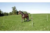 породи