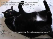 Реальність буття» або чому ж все-таки бутерброд падає олією вниз? реальність