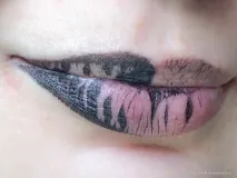 Розчарування року Urban Decay Vice Lipstick #Perversion (comfort matte) lipstick
