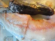 рибно-свинячим