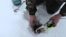 жерлицю